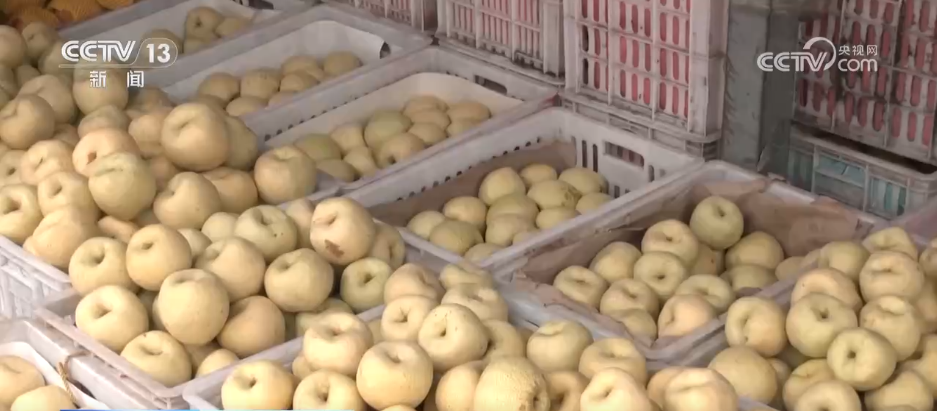 “果盘子”物丰量足、海鲜花卉购销火热 假